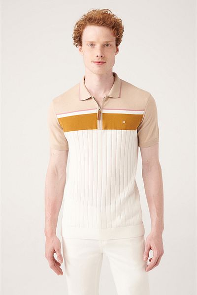 Avva Men's Beige Zippered Color Block Polo Neck Knitwear T-Shirt A31Y5018