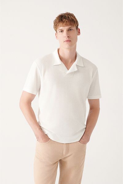 Avva Men's White Buttonless Easy-Iron Polo Collar T-Shirt A31Y1031