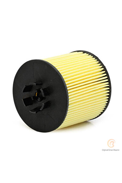 Bosch YAG FILTRESI 1457429301 ( VW GOLF V JETTA 1.6 FSI PASSAT 05-/ 1.6FSI POLO AUDI A3 SKODA FABIA 1.4