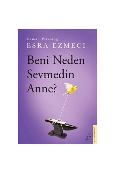 Destek Yayınları Beni Neden Sevmedin Anne?