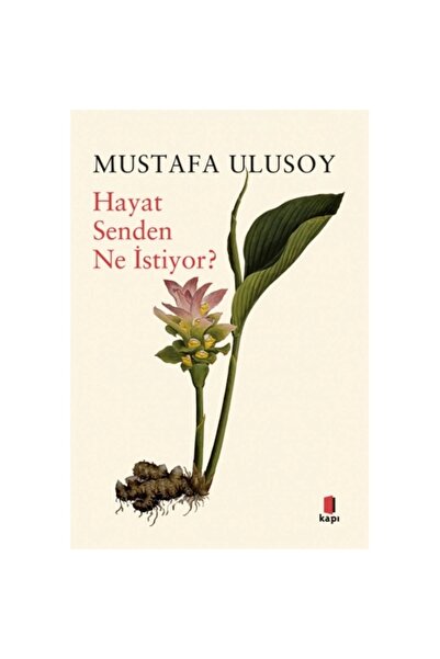 Kapı Yayınları Hayat Senden Ne İstiyor?