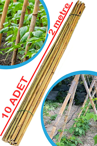 Genel Markalar Doğal Kargı Bitki Destek Çubuğu Fidan Salatalık Sarmaşık Çiçek...