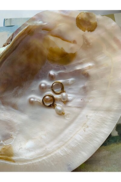 JOVİ ATELİER Sertifikalı Gerçek Büyük Arpa Inci Gold Renk Paslanmaz Çelik Halka Küpe