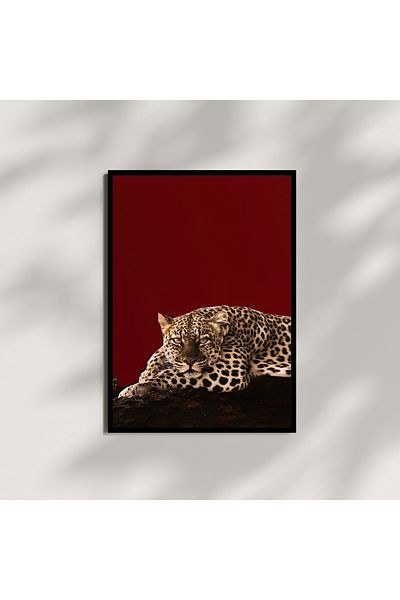 Arthopia Ο Leopard Lying Down έχει καθοριστεί ως ζωγραφική με κορνίζα με κορνίζα