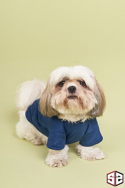 salya store 100% Organic Cotton Fabric Dog Clothing, Trouble Navy Blue