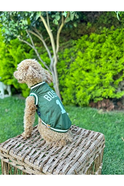 salya store Köpek Kıyafeti, Boston Köpek Forma, Kedi Köpek Elbisesi