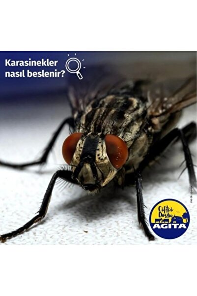 ELANCO Agita 10 Wg Kara Sinek Ilacı 100 Gr