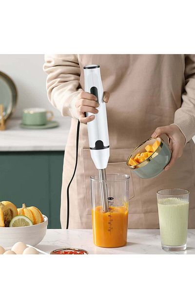 Micro Plus Microplus 2 Speed Handheld Hand Blender, Stainless Steel Shaft, Power 350 W