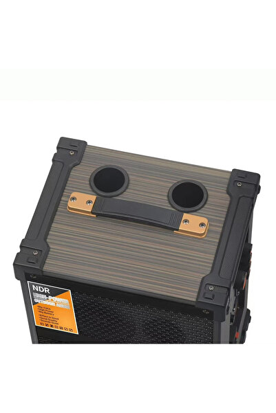 Dynego C8 Kablosuz Çift Mikrofonlu Ahşap Hoparlör Süper Bas Bluetooth Fm Kablosuz Mikrofon Karaoke