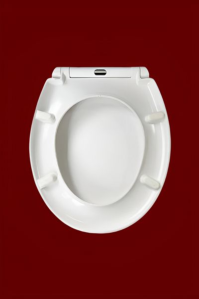HONEYBEE High-Quality and Durable UF OBF Toilet Seat Cover White