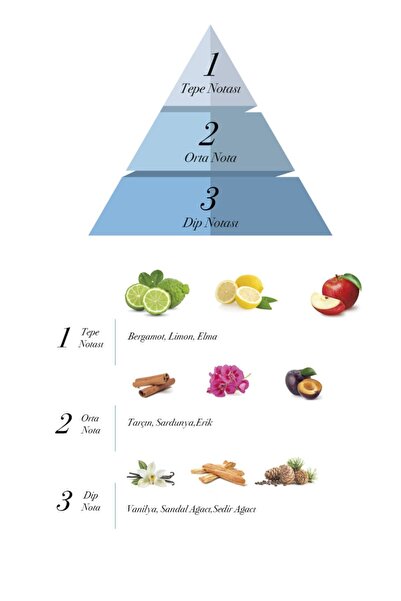 prova Pass Battle Edp Erkek Parfüm 100 ml