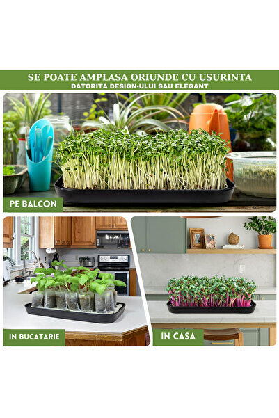 RARINCARE Kit de Crestere Microplante si Germeni RARINCARE, tip ghiveci Hidroponic, Lampa UV 16W