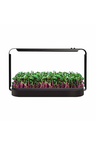 RARINCARE RARINCARE Microplant and Germ Growth Kit, Hydroponic pot type, 16W UV Lamp