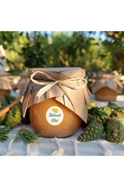 Diplomaliciftci Şekersiz- Çam Kozalak Şurubu - (425ML)