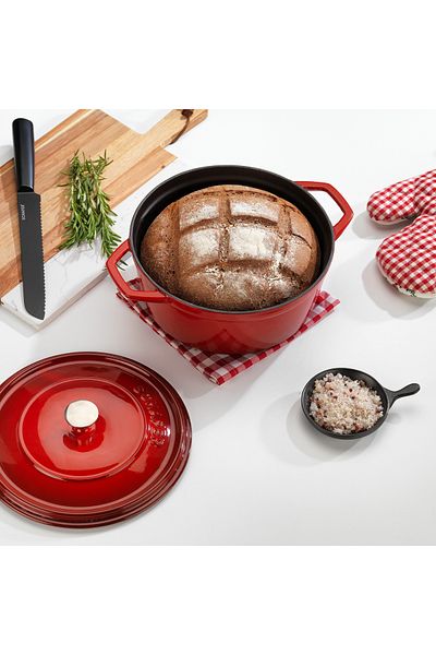 Schafer Guss Chef Casting Deep Pot 24cm-2 Pieces-red
