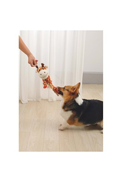 M-PETS Zıa Köpek Oyuncağı