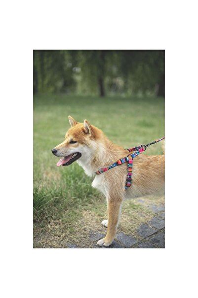 M-PETS Urban Style Jazz Strıpes Göğüs Tasması (S)