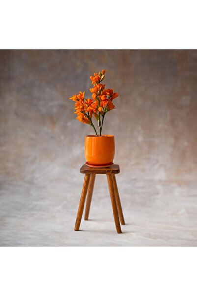 Evdek Tabaklı Armut Turuncu Çömlek Saksı 24x20 Cm