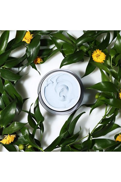 When Detoxifying mask for enlarged pores, Creamy Mud, When Beauty, 50 ml