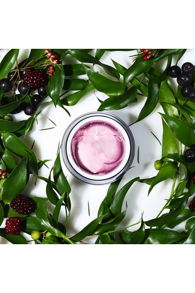 When Gel & Cream Night Mask, Dual Berry, When Beauty, 50 ml