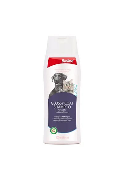 Bioline Biolineglossy Coat Shampoo-Dogs And Cats 250mlWeight: 250ml