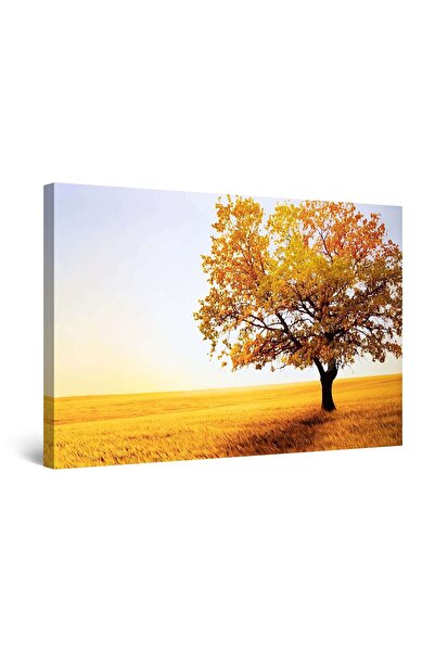 startonight Tablou DualView Startonight Copac Galben, 60 x 90cm