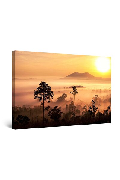 startonight Tablou DualView Startonight Apus peste Paduri, 60 x 90cm