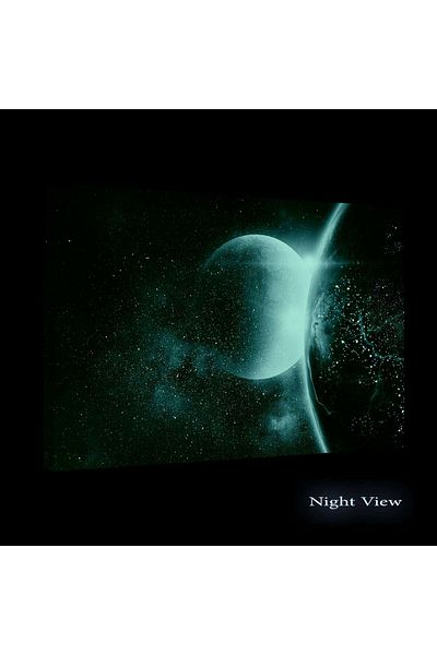 startonight Tablou DualView Startonight Luna din Spatiu, 80 x 120cm