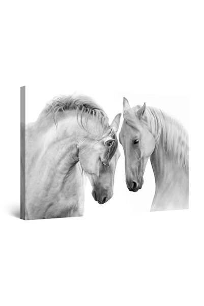 startonight Tablou DualView Startonight Iubire si Cai Albi, 80 x 120cm