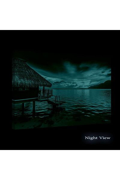 startonight Tablou DualView Startonight Colibe pe Mare, 80 x 120cm