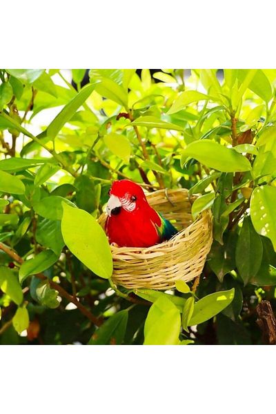 Others عش طيور من الخوص مع خطاف للتعليق
