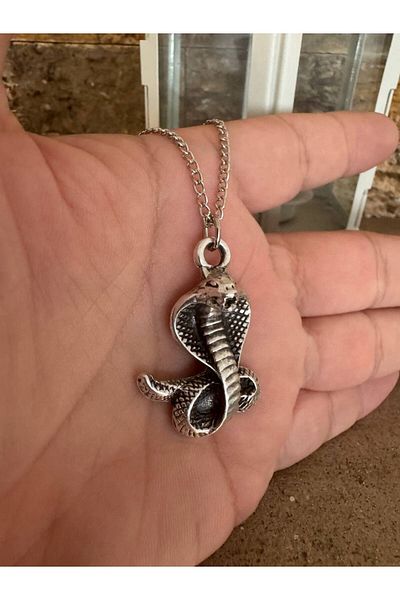 Herşey Nota Unisex Necklace with Cobra Figure – 60 cm Chain, Power and Protection Themed Design