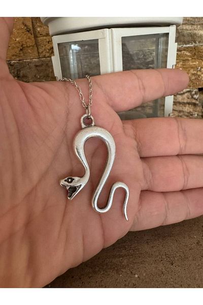 Herşey Nota Unisex Necklace with Cobra Snake Figure – 60 cm Chain, Power and Protection Themed Design