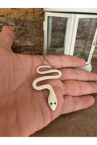 Herşey Nota Unisex Necklace with Snake Figure – 60 cm Chain, Wisdom and Transformation Themed Design