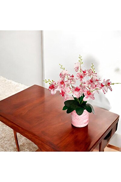 DARE EV YAŞAM BETON SAKSIDA 5 DALLI KIRMIZI YAPAY ORKİDE ISLAK YAPRAK KALİTEL...