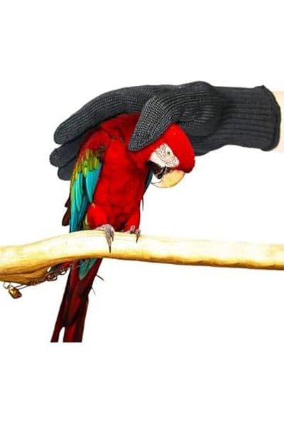L&Wen Bird Training Anti Bite Gloves, Small Animal Handling Cockatiel, 1 Pair