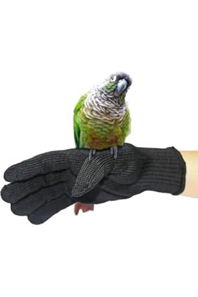 L&Wen Bird Training Anti Bite Gloves, Small Animal Handling Cockatiel, 1 Pair