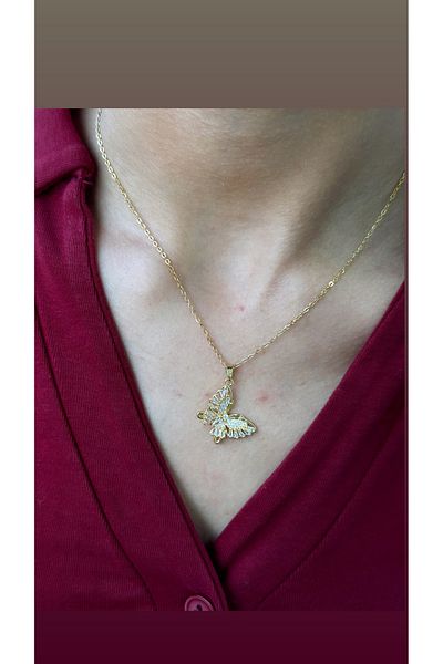 İNN JEWELLERY Steel Necklace Tarnish Resistant Antiallergic Butterfly Figure (2 Years Importer Warranty)