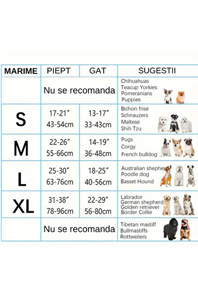 LUDORA LUDORA® Dog Harness and Leash Set, Soft Lining, Breathable Material, Comfortable