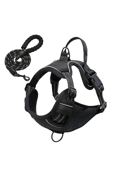 LUDORA LUDORA® Dog Harness and Leash Set, Soft Lining, Breathable Material, Comfortable