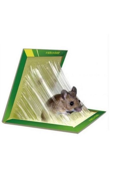 victiny Set 100 Sticky Traps for Mice and Rats VICTINY® Extra Strong