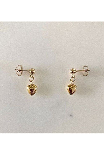 Generic Brand Complete Your Elegance with Elegant Gold Color Heart Earrings