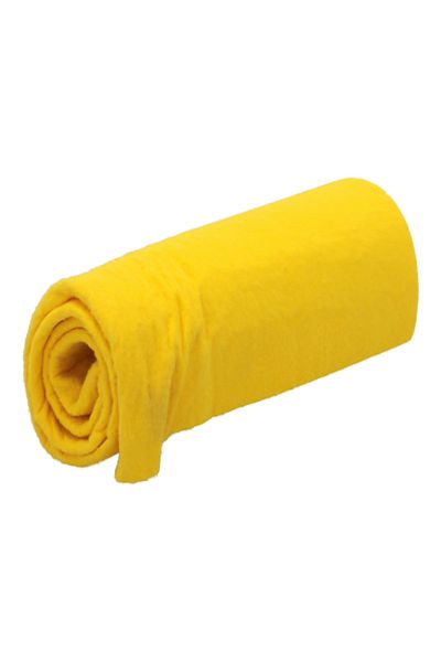 Regal Shammy Cloth