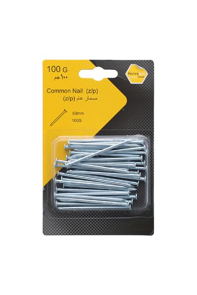 HONEYBEE Corrosion-Resistant Zinc Plated Common Nail Silver 63mm