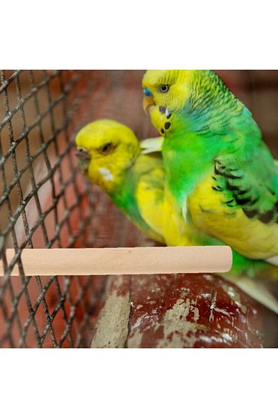 Others High quality wooden bird perch