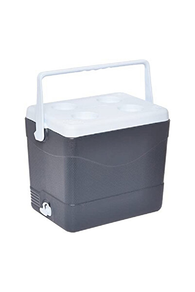 Cosmoplast Keep Cold Durable BPA-Free Picnic Ice Box with Handle Grey 24 Liter
