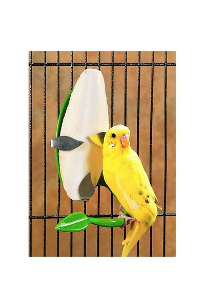 Others Natural Mineral Rich Cuttlefish Bone for Birds 1 pc