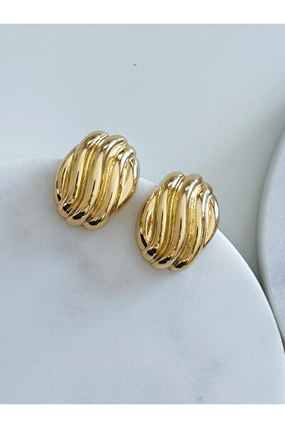 CHARMLUCKY أقراط كلاسيكية من السلسلة الخاصة