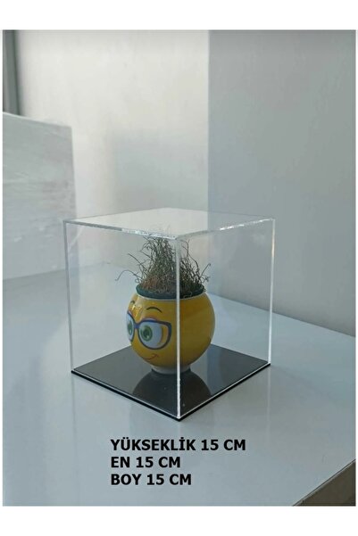 SeHa Design SeHa Pleksi Akrilik Şeffaf Kutu E15cmxB15cmxY15