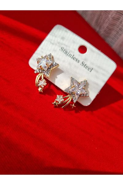 LİLİA Steel Tail Star Earrings